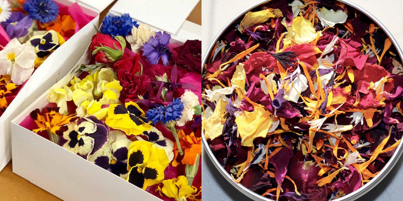 Top 10 Best dried edible flowers Home Best Product Reivew